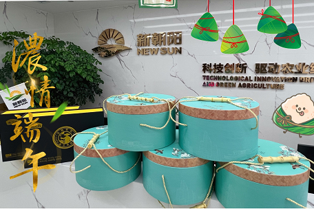 情暖端午 愛駐新朝陽