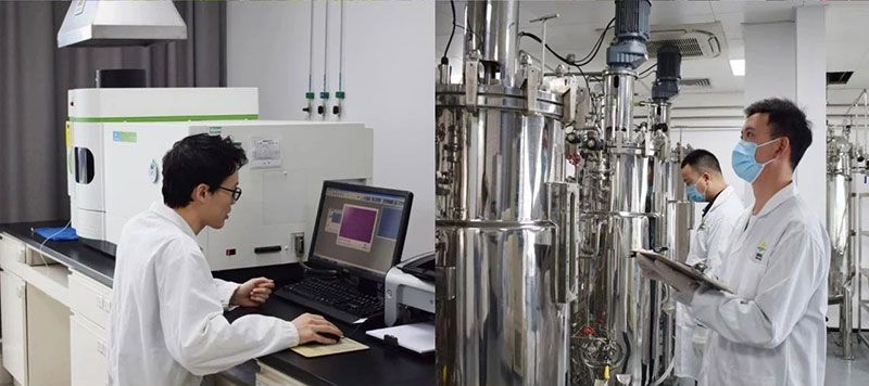 打造新朝陽生物科技“五張名片”，服務農業高質量發展！