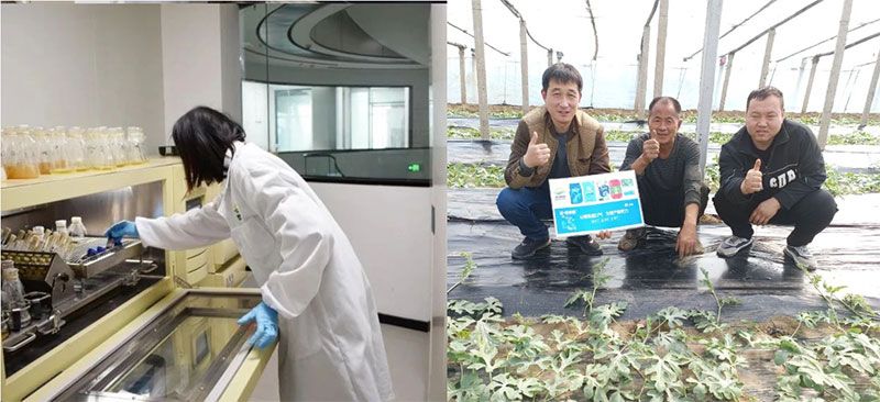 打造新朝陽生物科技“五張名片”，服務農業高質量發展！