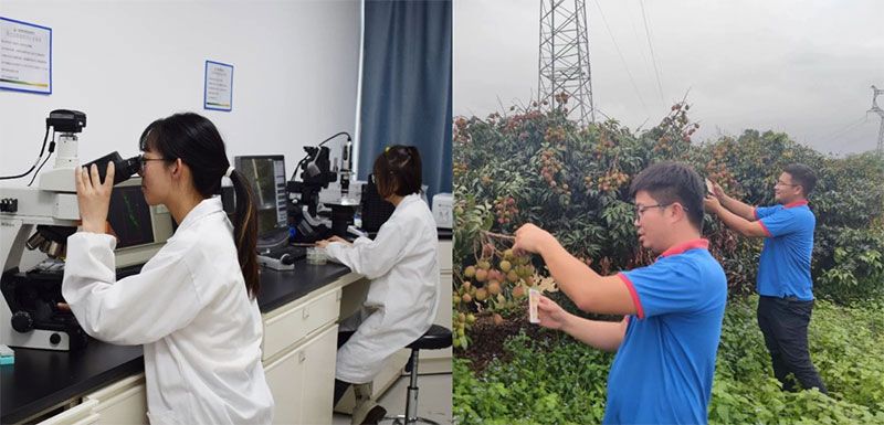 打造新朝陽生物科技“五張名片”，服務農業高質量發展！