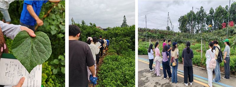 首個(gè)！中國(guó)農(nóng)業(yè)大學(xué)攜手新朝陽(yáng)啟動(dòng)“朝陽(yáng)稼穡計(jì)劃”