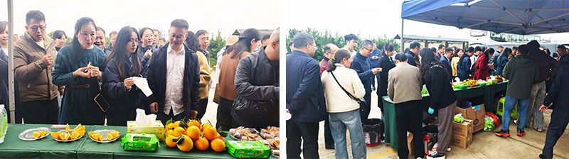 新朝陽生物技術助力綠色防控，推動柑橘產業綠色高質量發展