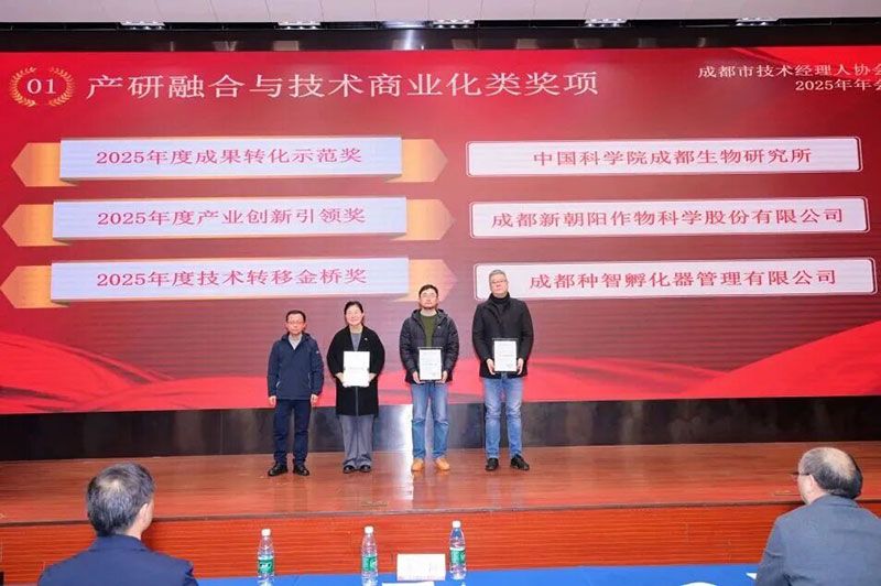 新朝陽榮獲成都市技術(shù)經(jīng)理人協(xié)會“2025年度產(chǎn)業(yè)創(chuàng)新引領(lǐng)獎(jiǎng)”